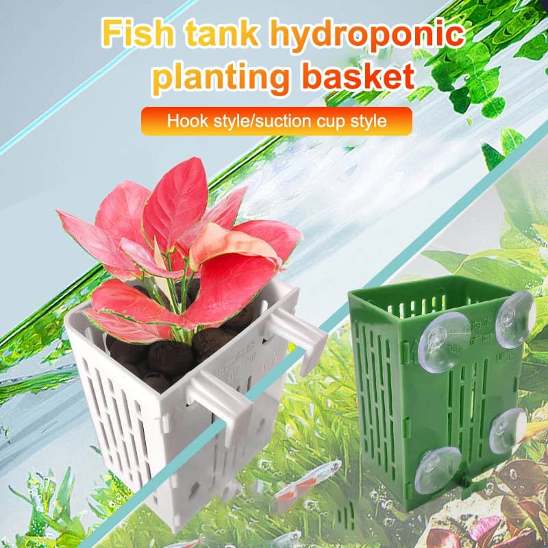 Gancio a ventosa per piante acquatiche, porta piante in plastica per acquario, cestini per piante, vaso acquatico, decorazione per acquascaping