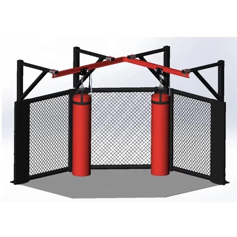 New Simple Daily Fitness and Boxing Ring