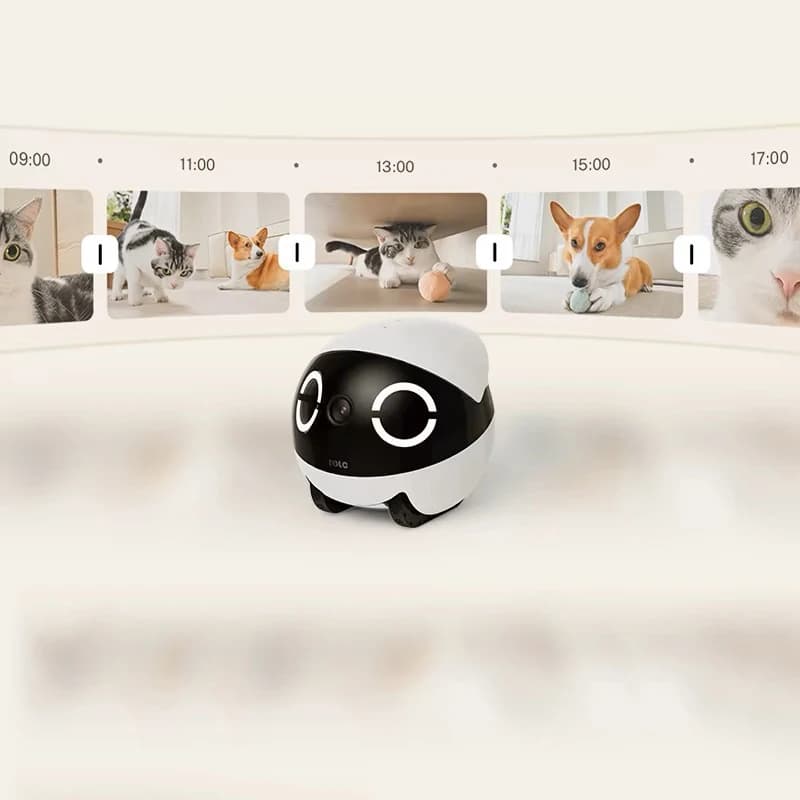 Robot compagno di animali domestici Mini telecamera mobile intelligente per tutta la casa Robot di monitoraggio remoto wireless intelligente per cane gatto bambino