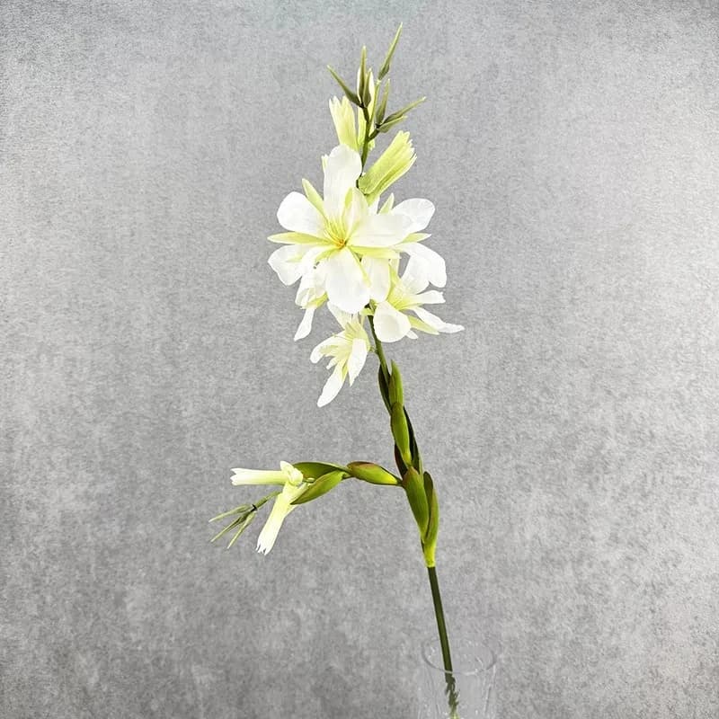 2pcs Silk Fake Flowers Artificial Canna Branch Green Plant Floral Balcony Table Decoration Yellow Flower Simulation Cannas