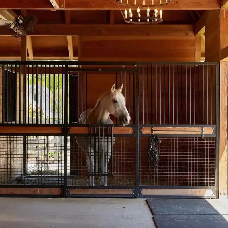 Box per Cavalli Portatile Personalizzabile per Strutture Equestri Esterne, Alloggio Temporaneo e Soluzioni Flessibili per la Cura dei Cavalli