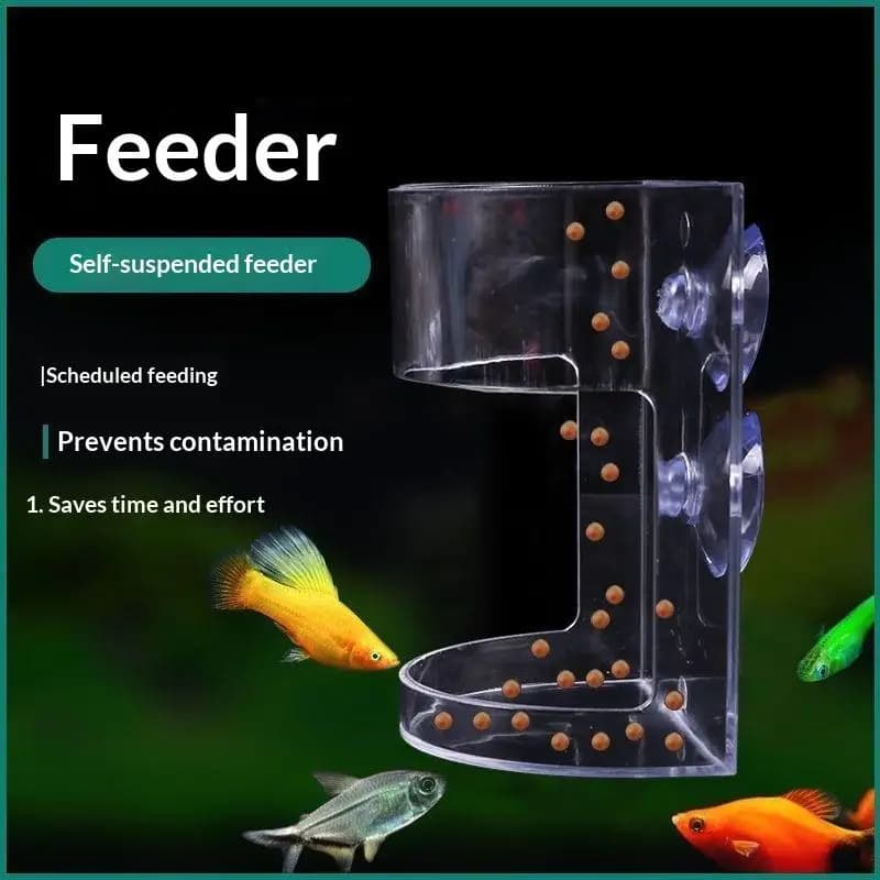 1/3/5 Pezzi Anello Galleggiante per Alimentazione Pesci, Vassoio Mangiatoia Circolare per Acquario con Ventosa, Accessorio per Acquario