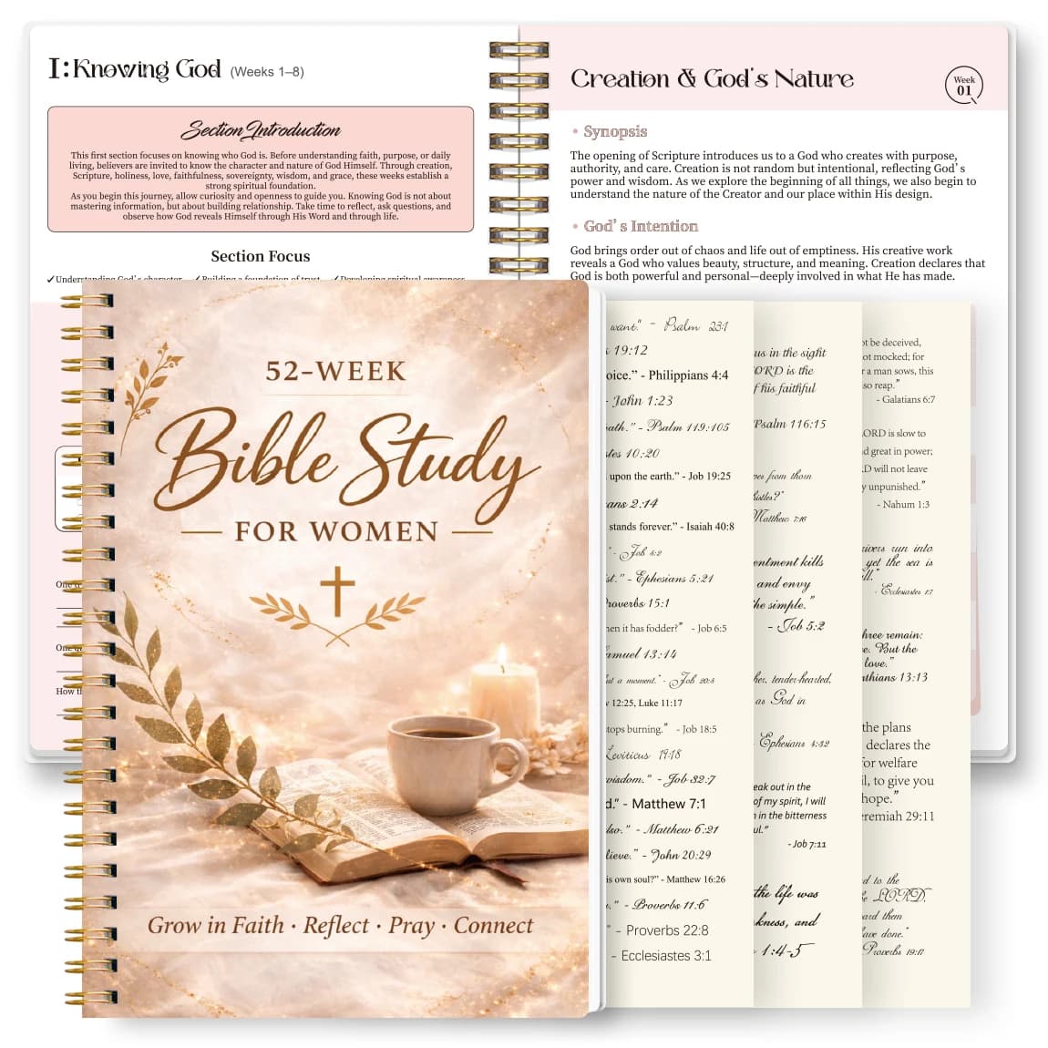 Diario di studio biblico per donne, 52 settimane, con copertina a spirale, agenda della fede con adesivi, lettura quotidiana delle Scritture e riflessione