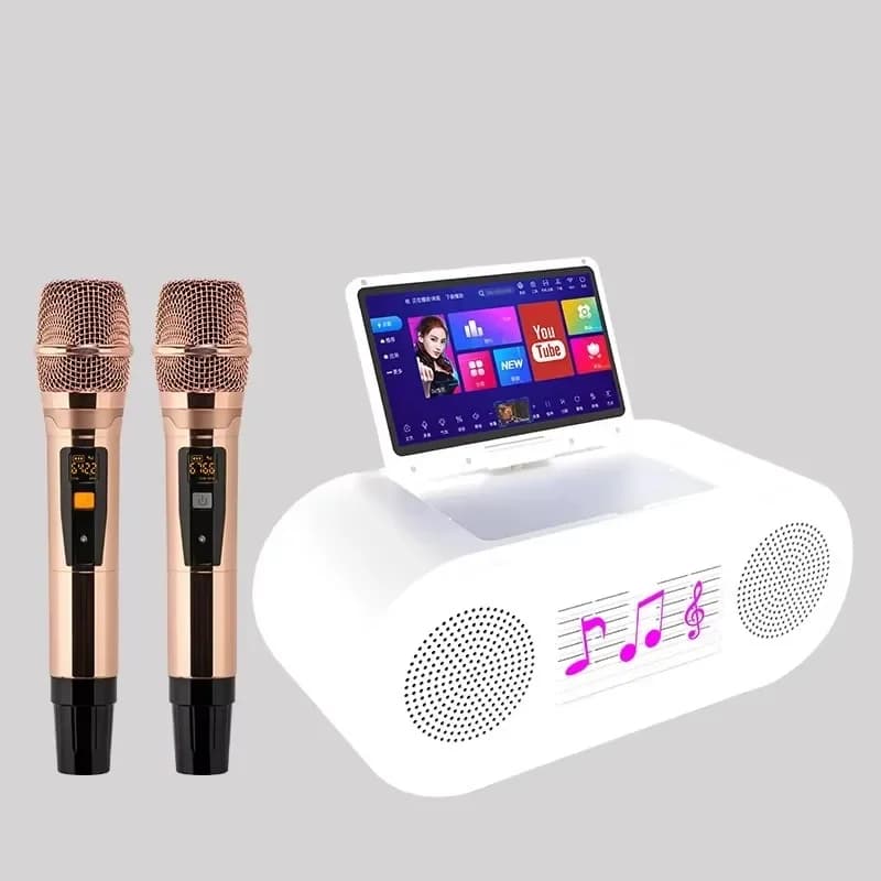 Home KTV Sound System Kit YouTube & 6 Channels All-in-One Karaoke Machine with No Warranty Active/Passive