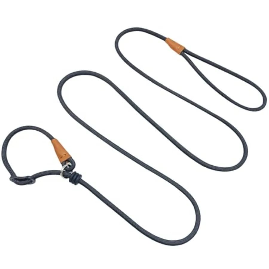 6ft Small Slip Lead Dog Training Leash, 1/4-In Lightweight Rope Slip Leash, No-Pull Cute Leashes for Medium Small Dogs Puppy Pe