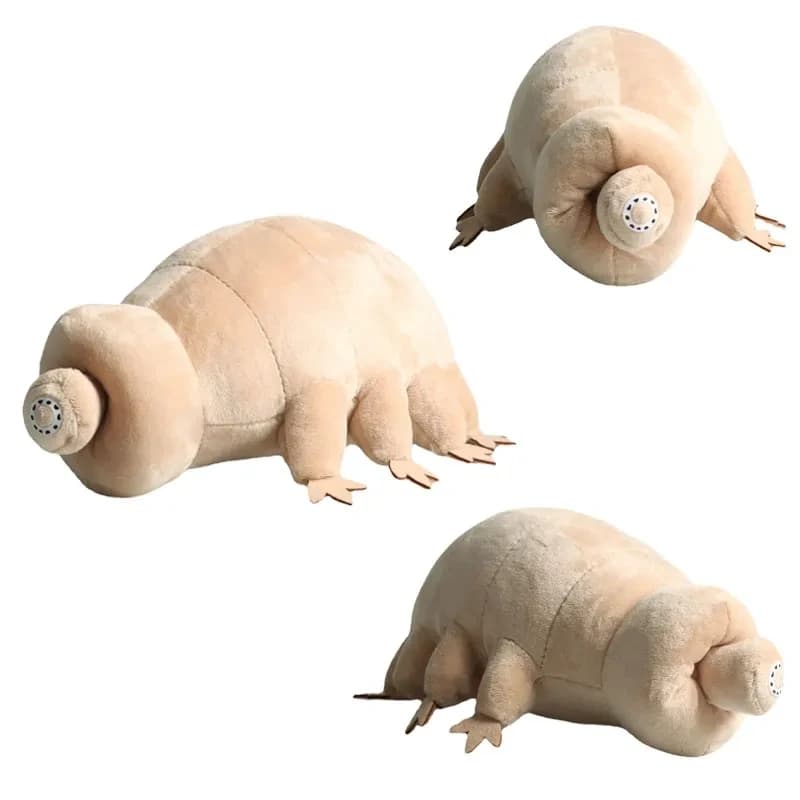 25 cm Orso d'acqua Tardigrade Peluche Morbido Tardigrade Bambole Animali di peluche Giocattoli educativi per bambini Bambini Regalo di compleanno per bambini
