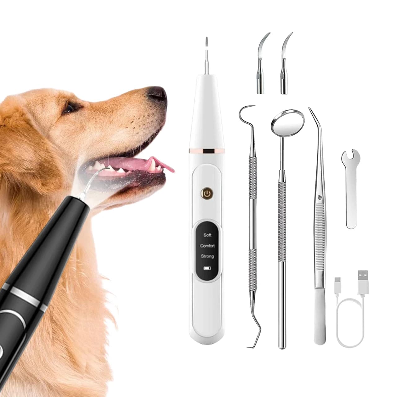 Electric Toothbrush for OEM Dogs, Denti Cleaning Tool, Remove Tartar and Pet Plate