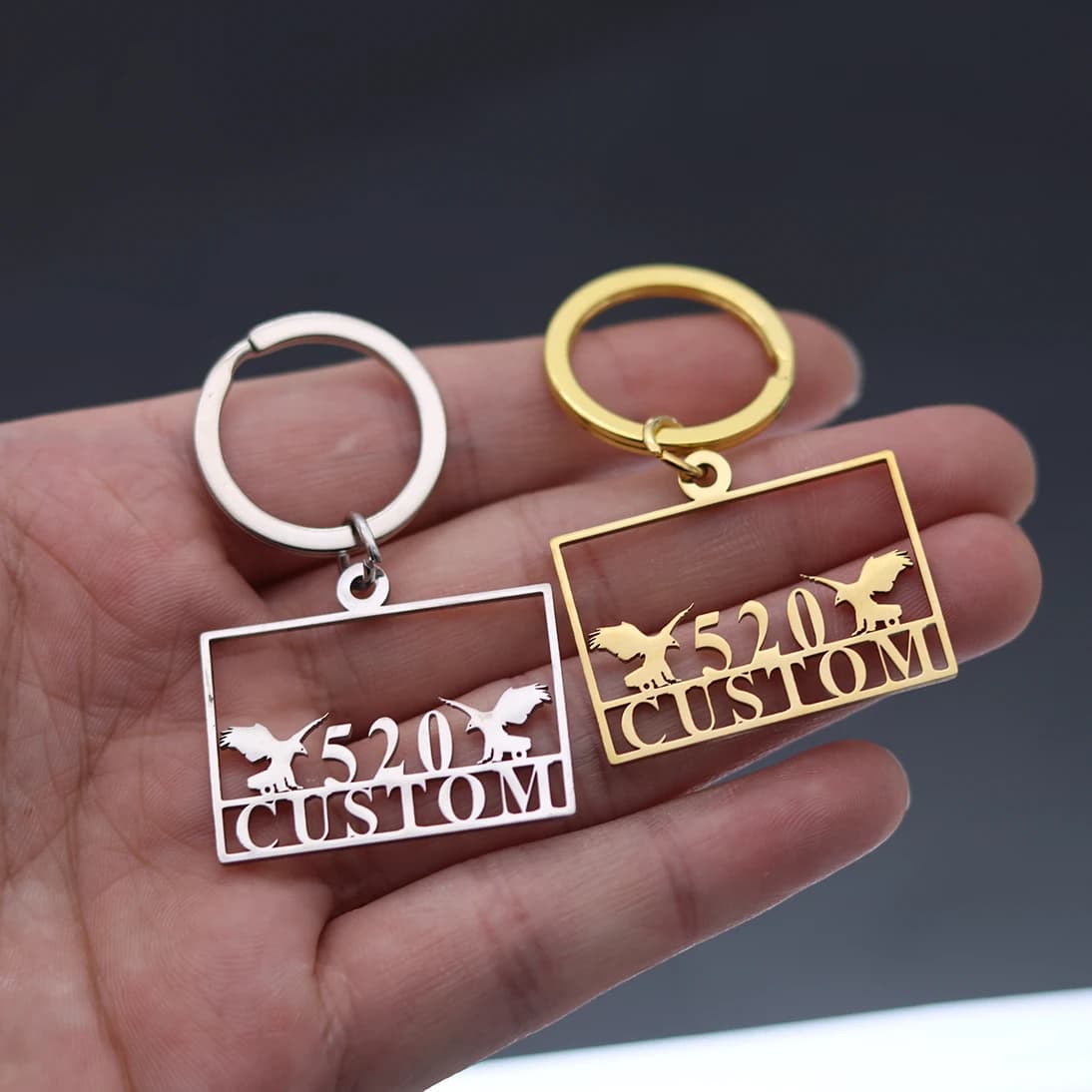 QIAMNI Keyring with Animal Birds Eagle for Men Women Keyring with Custom Name Engraved Laser Customized Stainless Steel