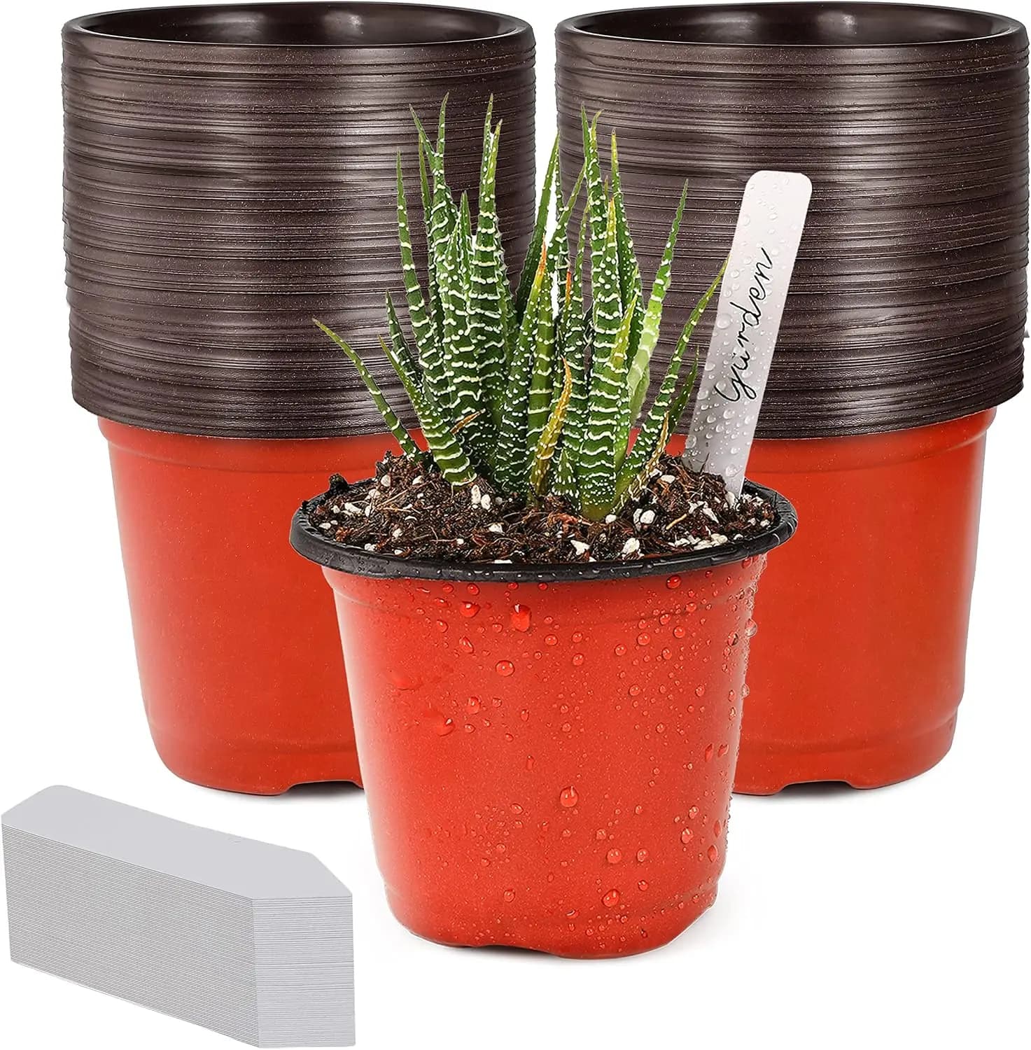 4" Small Plastic Plant Nursery Pot/Pots (100pcs) Seedlings Flower Plant Container Seed Starting Pots , Come with 100pcs Plant Labels