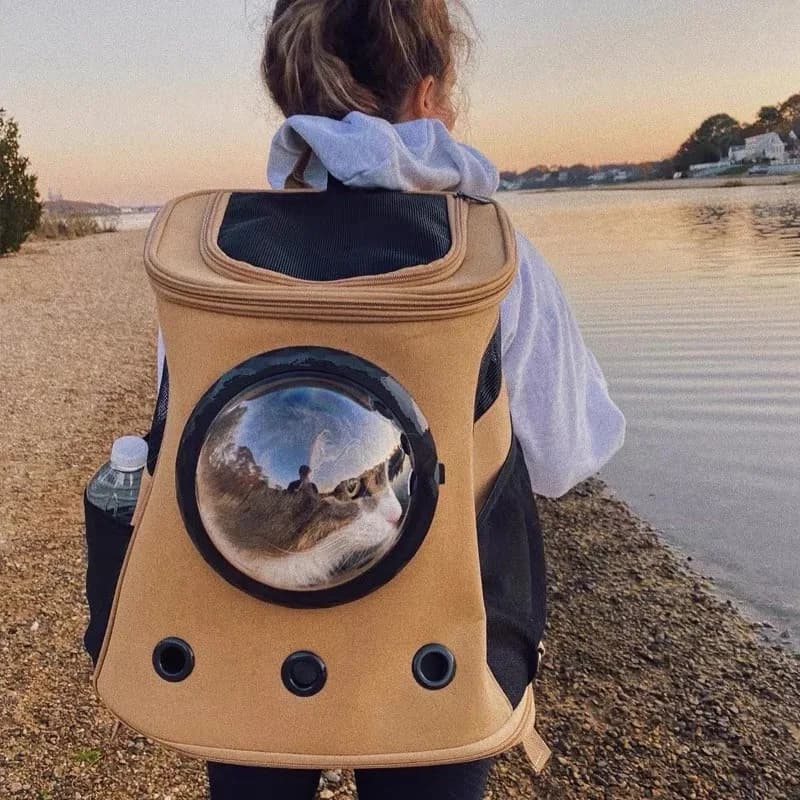Space Capsule Cat Backpack Breathable Cat Travel Backpack Transparent Window Cats Carrier Outdoor Hiking Trip Pet Carriers