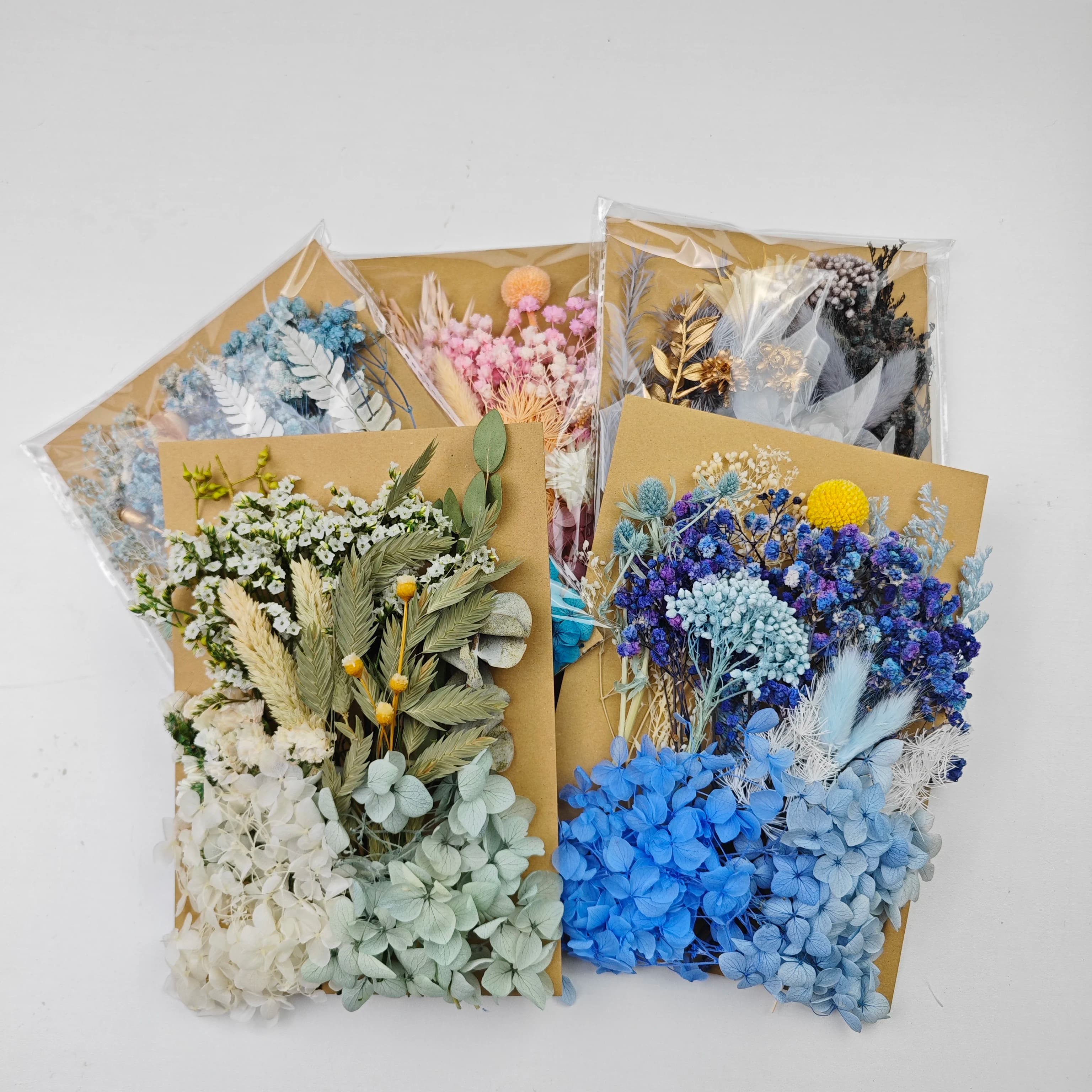 Mixed Preserved Dried Flowers Set for DIY Resin Epoxy Jewelry Making Phone Case Decoration Scrapbooking Crafts
