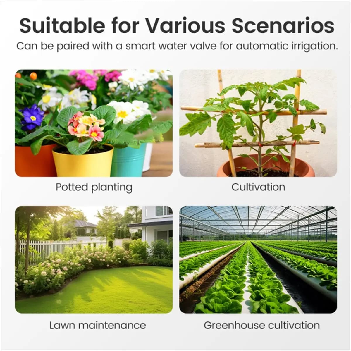 ABJA Tuya Zigbee Smart Soil Tester Humidity Temperature Moisture Sensor with Mobile Phone APP Real Time Monitor Home Garden