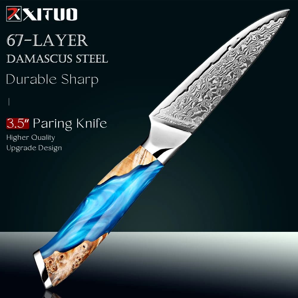 Kitchen Knife Damask Steel Sateen 3.5 Inch Razor Sharp Fruit Knife Small Kitchen Knife Steel VG10 Ergonomic Handle Full Tang 67 Layers