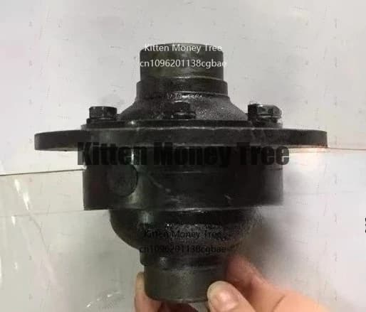 Chain Rear for Electric Tricycle with Group Gears for 6 Denti, Semiasses and Differential, Transmission Accessories