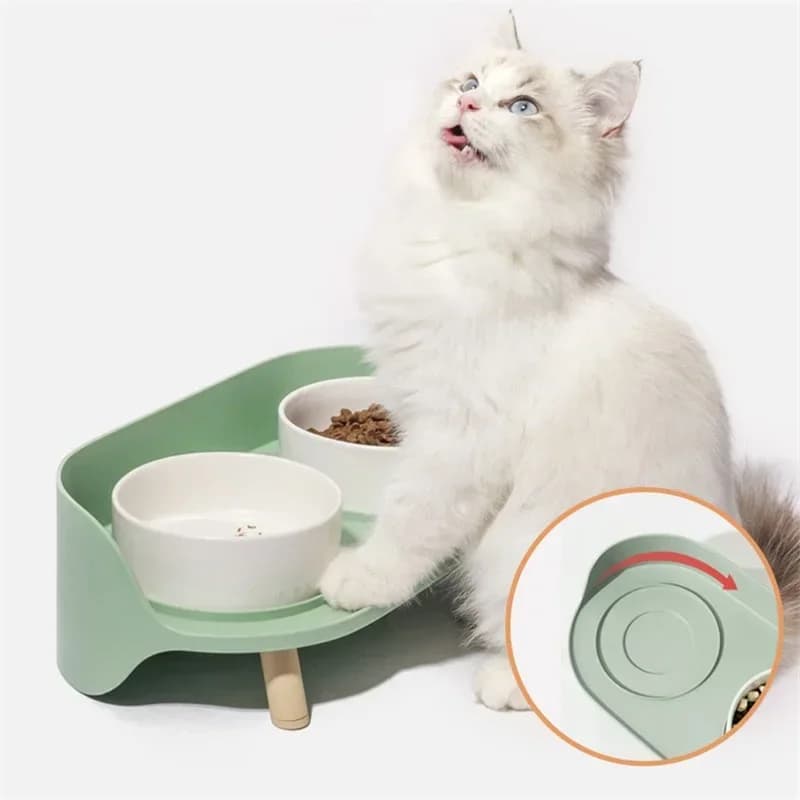 Ciotole Doppie in Ceramica per Cibo e Acqua per Gatti con Supporto in Legno - Offerta Speciale