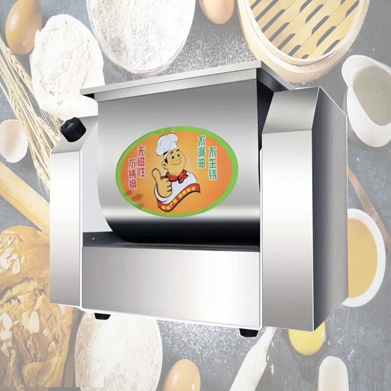 Impastatrice Elettrica Professionale per Cucina, Macchina per Impastare Farina e Carne, Miscelatore per Pasta e Pane, 220V