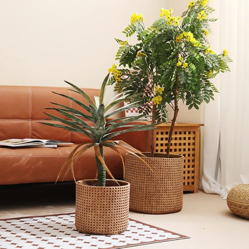 Furniture for small-sized apartments floor-to-ceiling flower pot Home hall Garden green plant paradise bird willow leaf fi