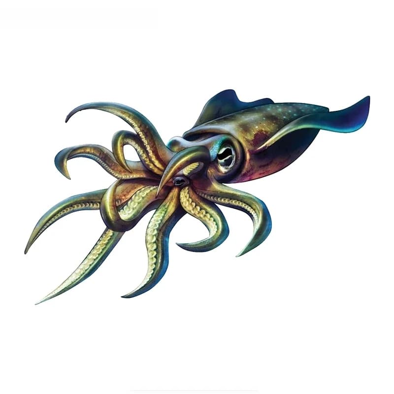 New Design Octopus Personality Animal Car Stickers Octopus Squid Fish PVC Car Styling motorcycle helmet reflective decal, 18cm