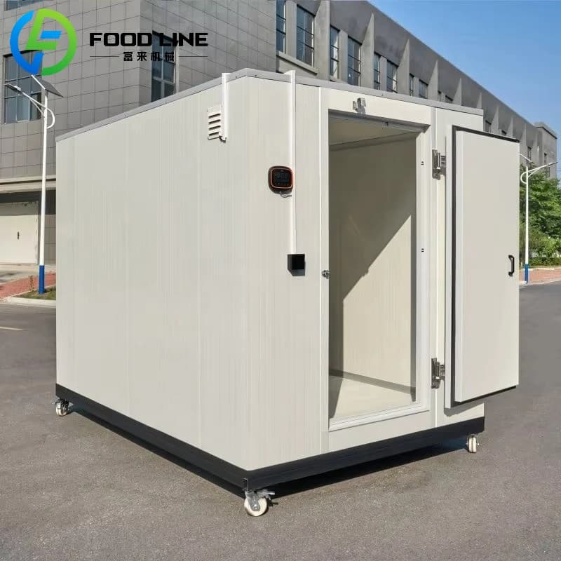 Cella Frigorifera Custom, Container Refrigeration Unit, Snack and Meat Freezer, Refrigerant Unit for Storage and Food Processing