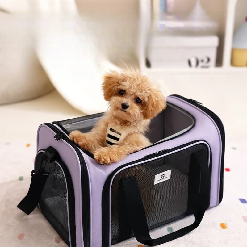 Borsa da trasporto per gatti da esterno, portatile, a tracolla, in tessuto Oxford, per uso domestico MH40MB