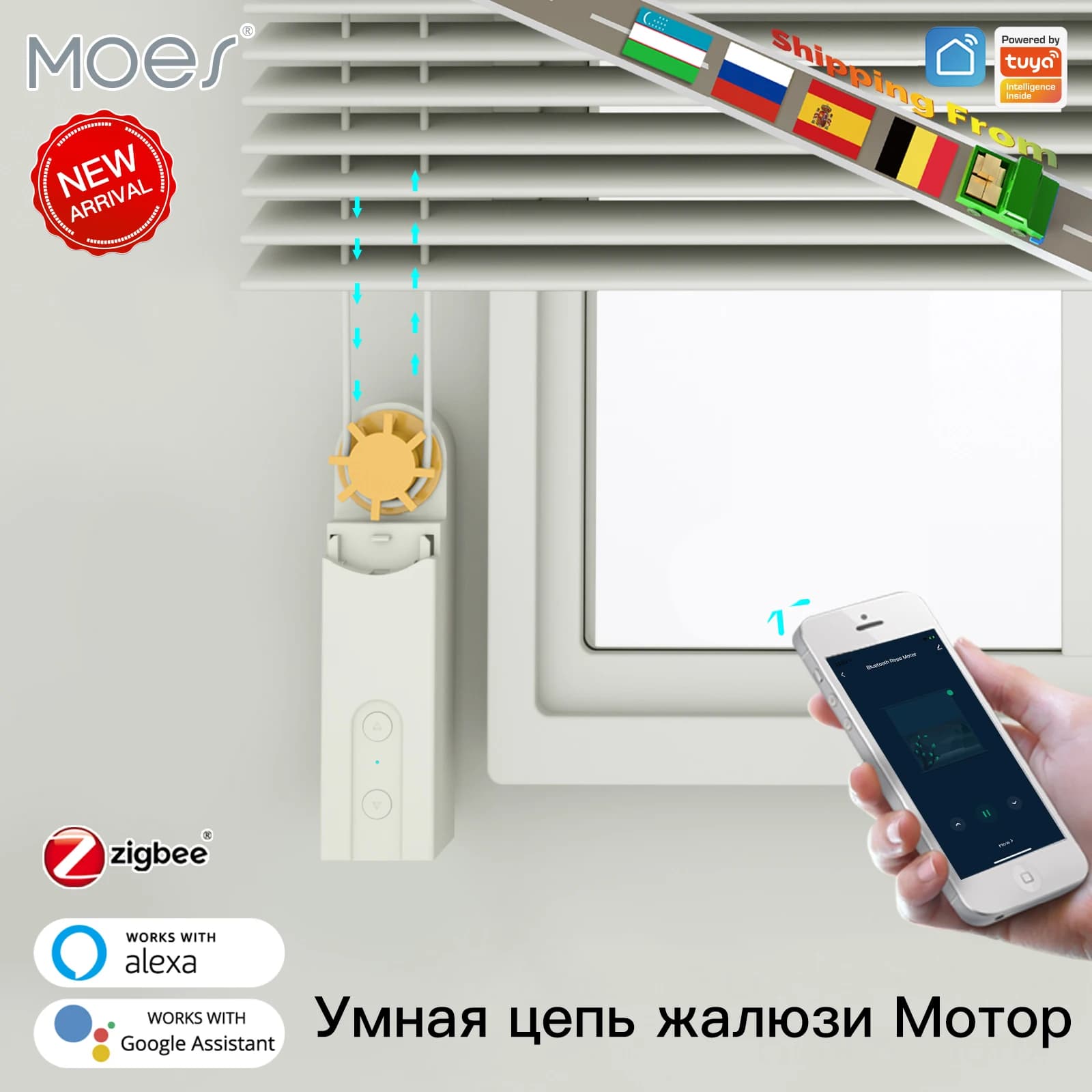 MOES Tuya Smart ZigBee3.0 tende a catena catena motore tende per tapparelle motorizzate Smart LifeAPP Alexa Google controllo vocale