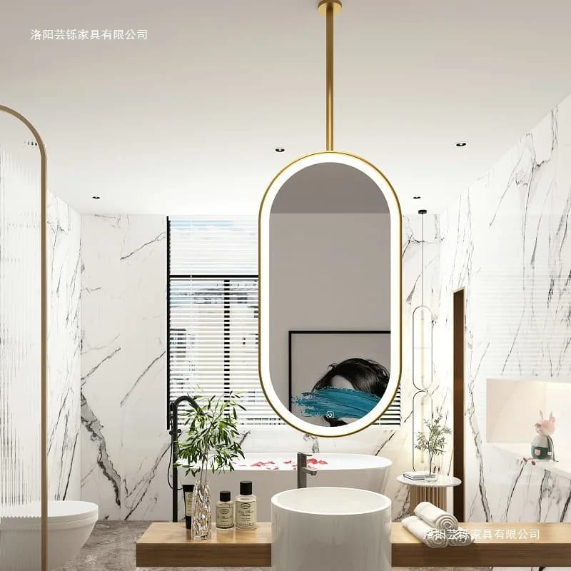 Modern Oval Mirror Toilet Ceiling Hotel Homestay Toilet Hanging Bar Bathroom Mirror