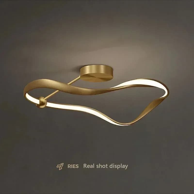 Minimalist Led ring Ceiling Light gold curved line lamp Bedroom study Living Dining Room Restaurant Nordic Luxury smart lamp