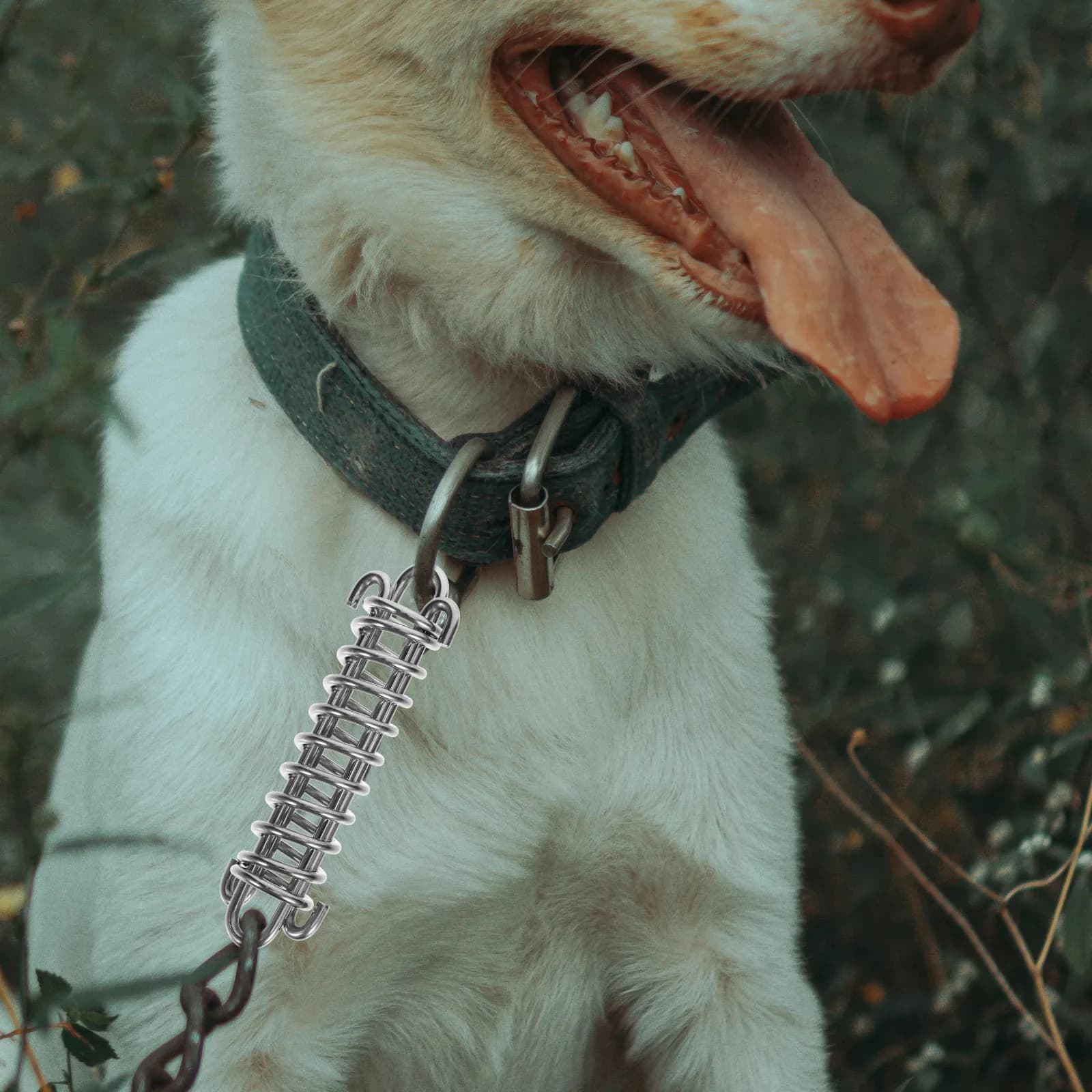 Guinzaglio per Cani con Molla in Acciaio Inossidabile, Resistente, con Ammortizzatore per Addestramento, Passeggiate, Escursioni e Corsa