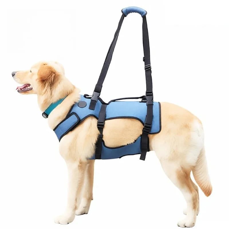 Dog Rear Leg Support Harness Auxiliary Lifting Strap Assist Walking Mobility Aid for Large Senior Dogs