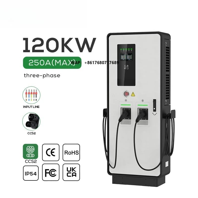 Stazione di Ricarica per Auto Elettriche Ovrod con Pagamento a Carta, Caricatore DC EV CCS2, Colonnina di Ricarica per Veicoli Elettrici