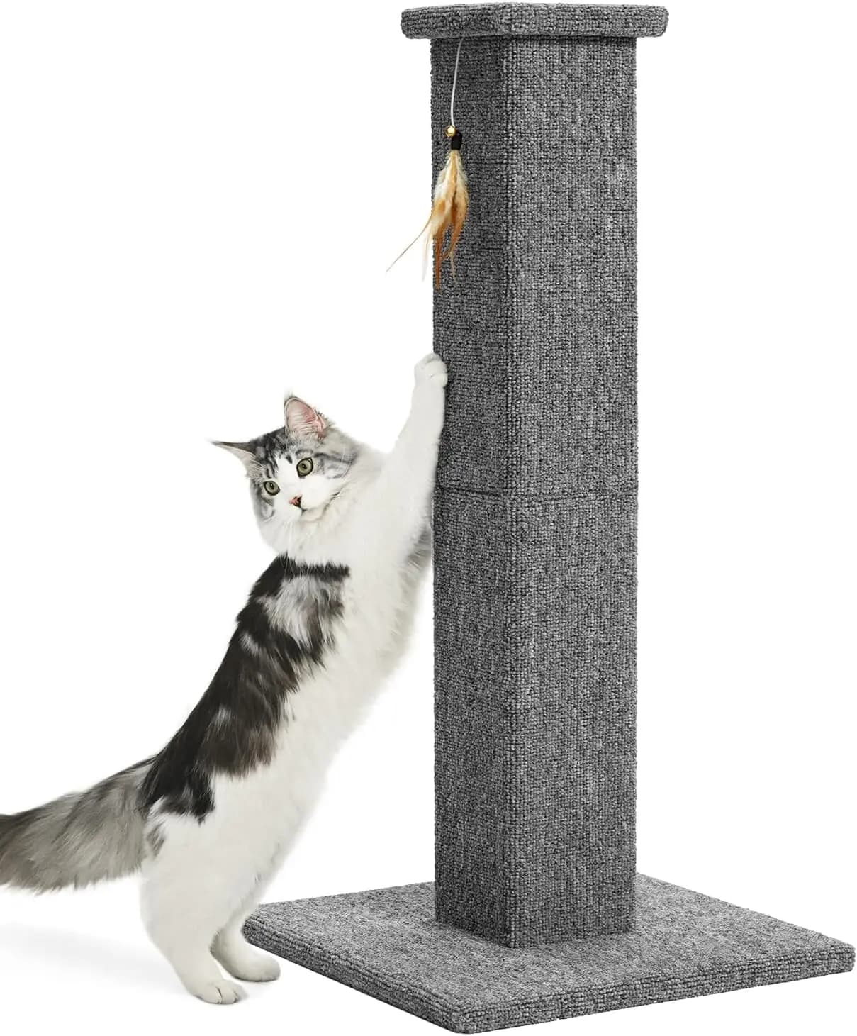 Tiragraffi per Gatti Alto 81 cm con Tappeto e Giocattolo per Gatti da Interno, Gattini e Adulti, Colore Grigio