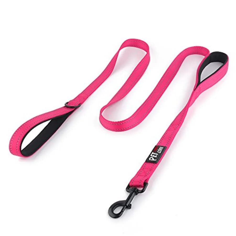 Double Handle Dog Leash, Heavy Duty, Reflective Dual Handle Dog Leash for Safety Training, for Medium Large Dogs, 2 Handle Lead