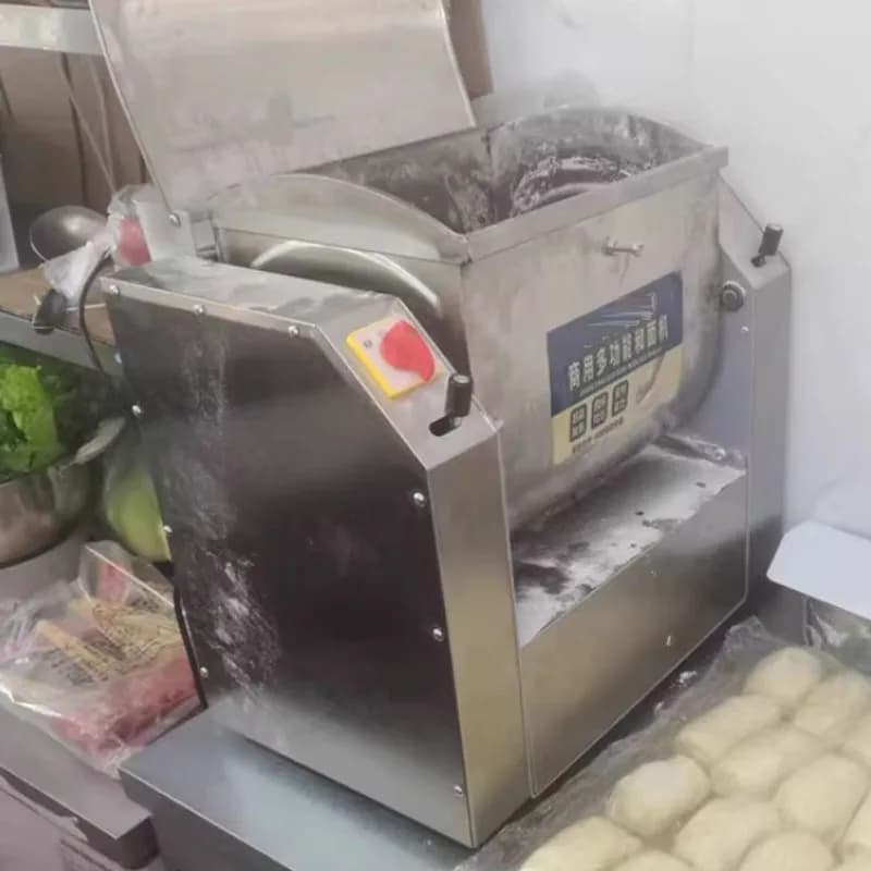 5KG 7KG 10KG Attrezzature da cucina Farina Churn Pane Pasta Tagliatelle Crea macchina impastatrice elettrica