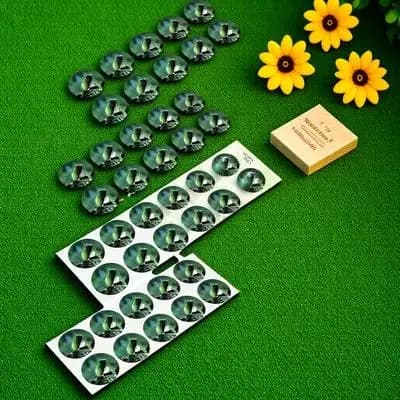 5 Fogli di Etichette Grandi in PVC Autoadesive per Vasi di Semi, Adesivi per Piante da Coltivazione Idroponica, Giardini di Fiori, Interni ed Esterni