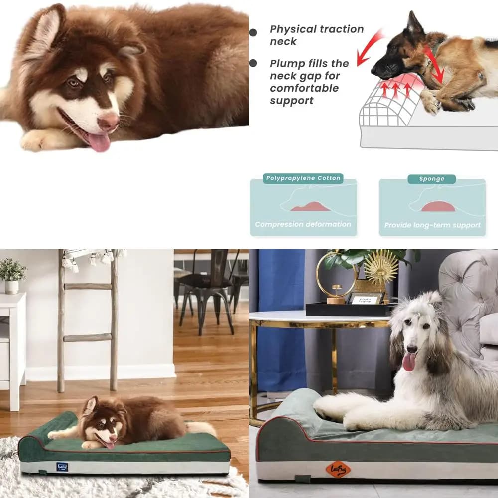 Letto per cani grande in schiuma ortopedica - Copertura impermeabile e rimovibile, verde scuro (46x28x8)