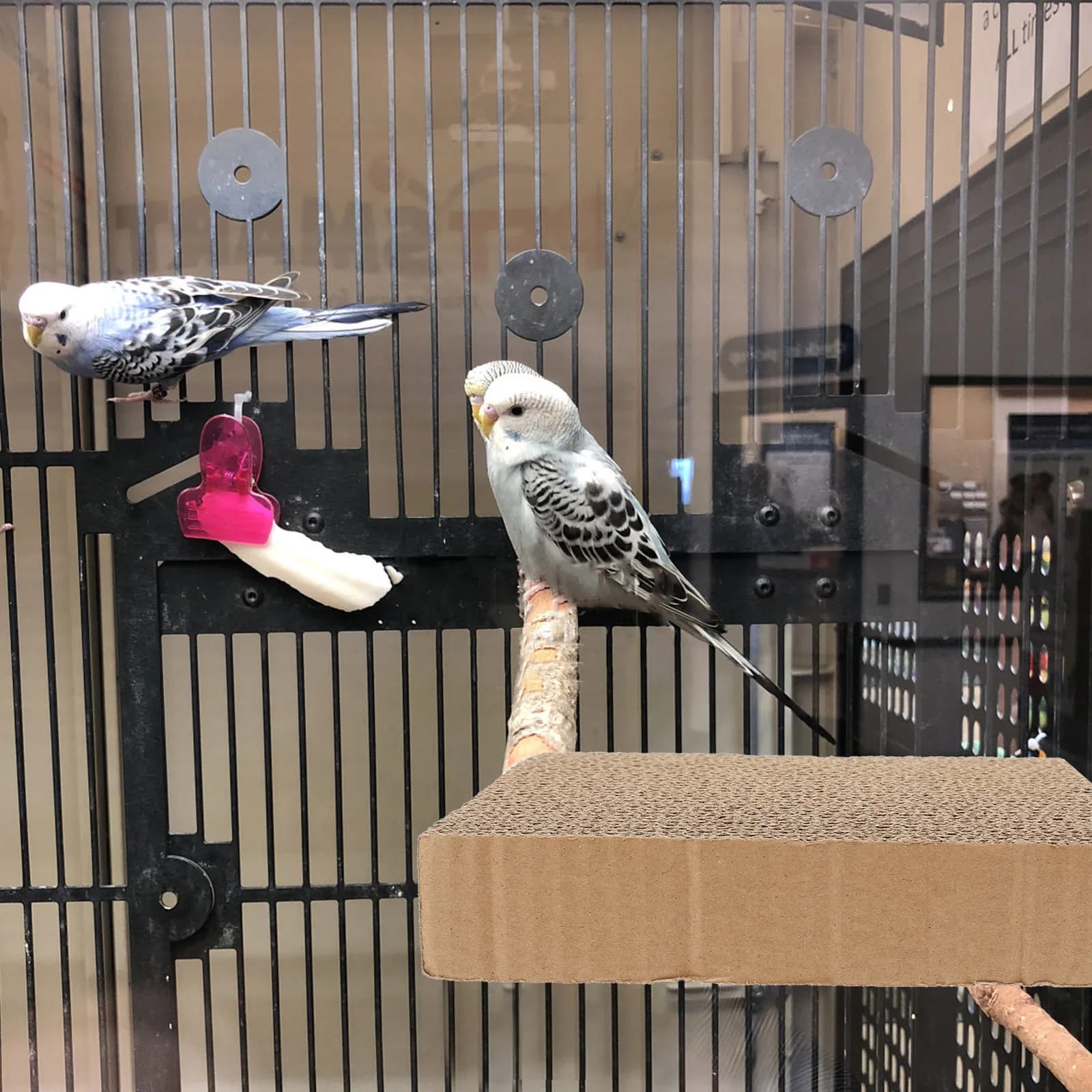 Cardboard Bird Perch Platform for Parrots Cockatiels Parakeets Chewing Exercise Climbing Jumping Claw Grinding Habitat Decor