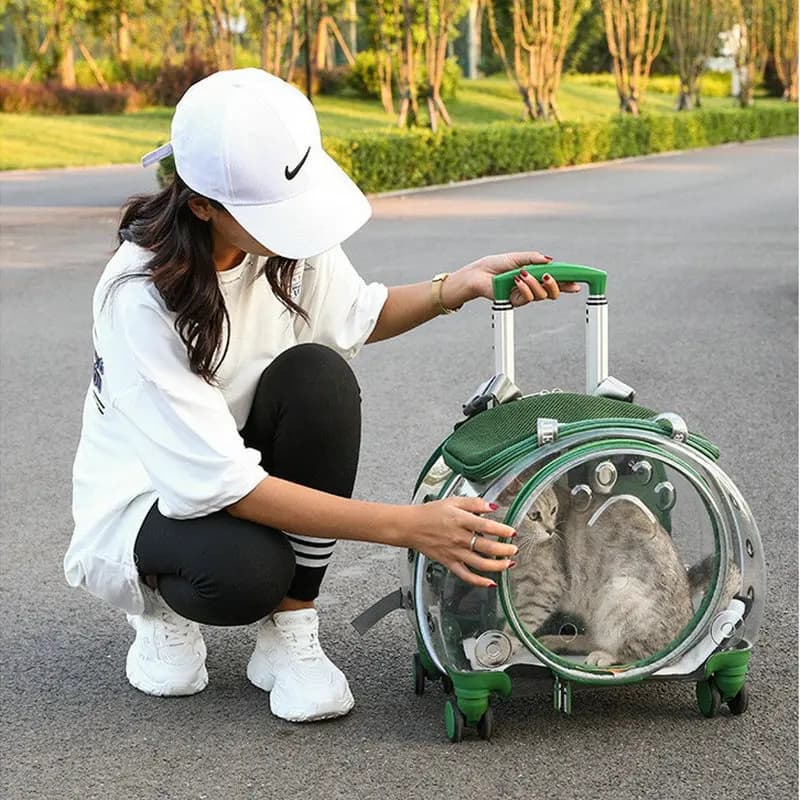 Piccolo carrello per animali domestici Borsa a tracolla trasparente per gatti Confezione cassa traspirante per viaggiare all'esterno Portatoie portatili per prodotti per animali domestici