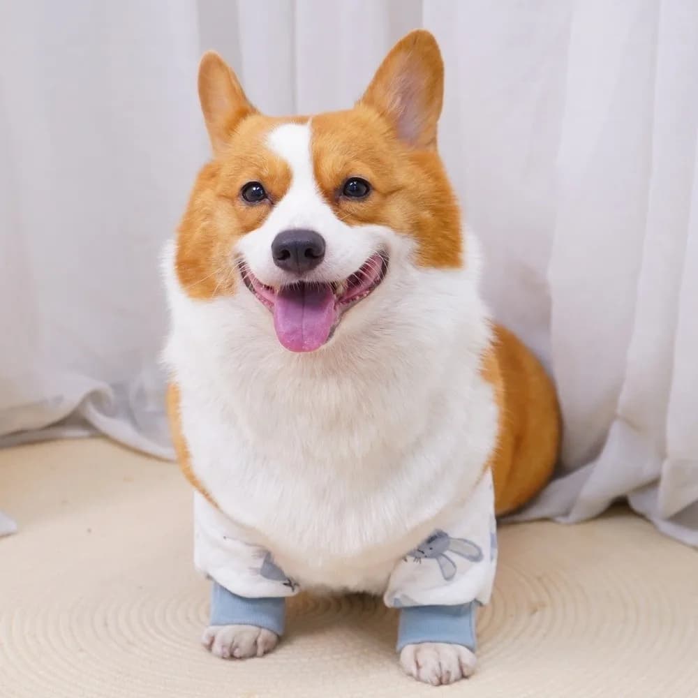 Supporto Elastico per Gomito di Cane, Ginocchiere Traspiranti Regolabili per Cani, Protezioni Morbide per Gambe e Ginocchia con Motivi Cartoon, Protezione Articolare