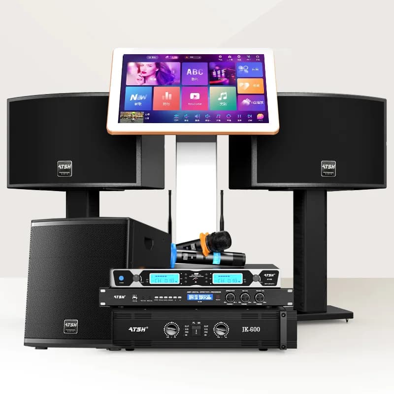 Sistema audio per karaoke commerciale e domestico Macchina per karaoke KTV 2.1, microfono wireless da 12 pollici e amplificatore, 2 subwoofer passivi