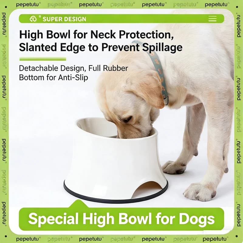 Ciotola per Cani in Acciaio Inox Anti-Rovesciamento, Design Inclinato per Proteggere la Colonna Cervicale del Cane