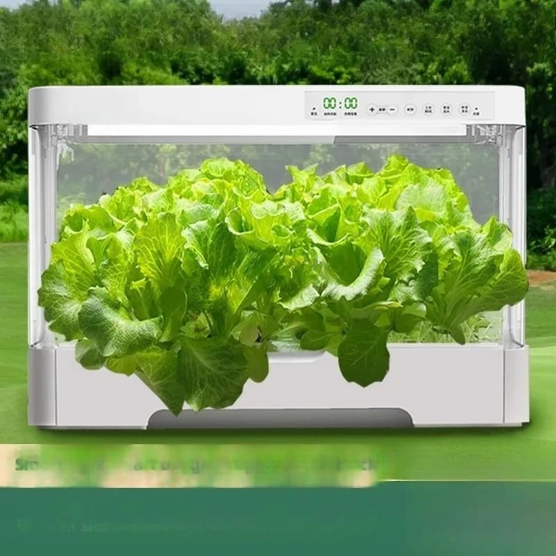 Dispositivo Intelligente per Coltivazione Domestica, Vaso per Coltura Senza Suolo per Piante e Fiori da Interno