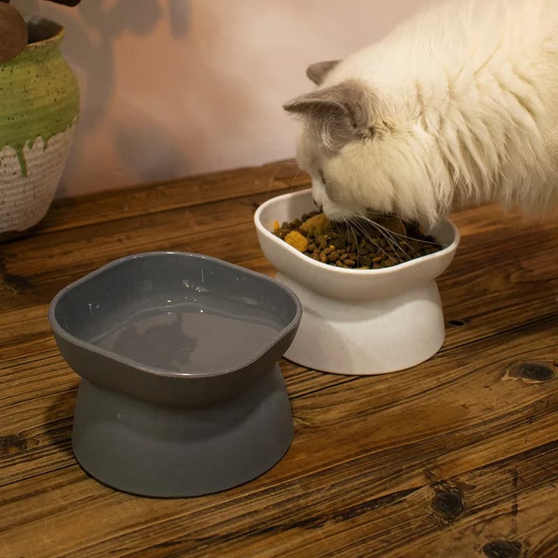 Ciotole Rialzate in Ceramica per Gatti e Cani di Piccola e Media Taglia - Ciotola Rialzata per Cibo e Acqua per Animali Domestici, per Gatti e Cuccioli