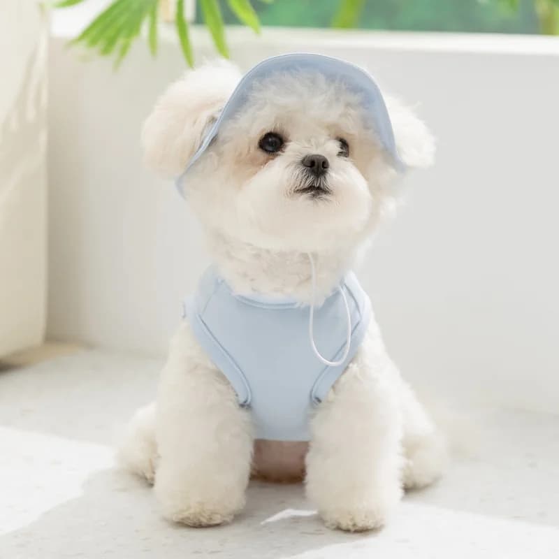 Gilet di protezione UV per cani e gatti in tessuto di seta ghiacciata, con cappuccio, traspirante, in rete, per l'estate, abbigliamento esterno per animali domestici.