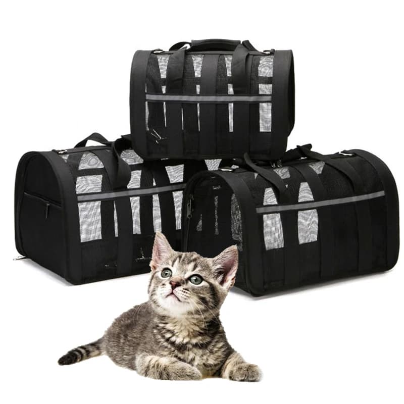 Borsa Trasportino per Gatti e Cuccioli in Rete Traspirante Riflettente - Portatile per il Trasporto di Animali Domestici