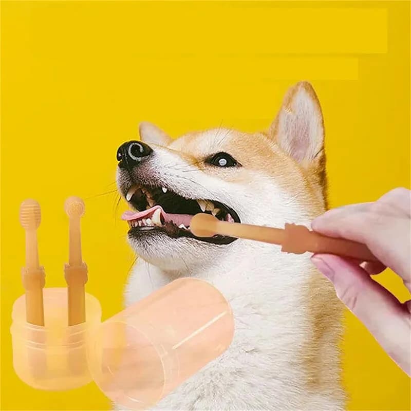 Complete kit for oral hygiene of pets Teeth whitening set for dogs and cats with silicone toothbrush and toothpaste for dental hygiene