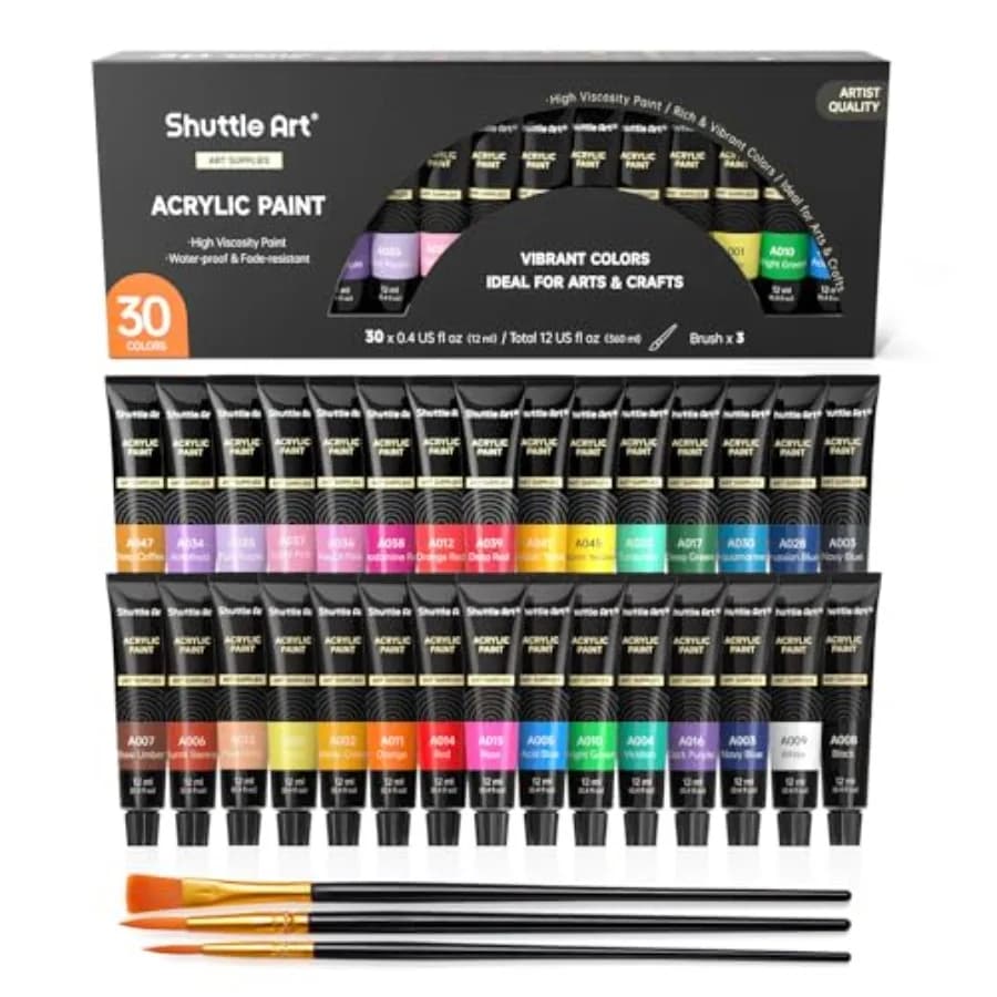 Acrylic Paint Set, x12ml Tubes Artist Quality Non Toxic Rich Pigments Great for Adults Professional Painting on Rocks Canvas Wo