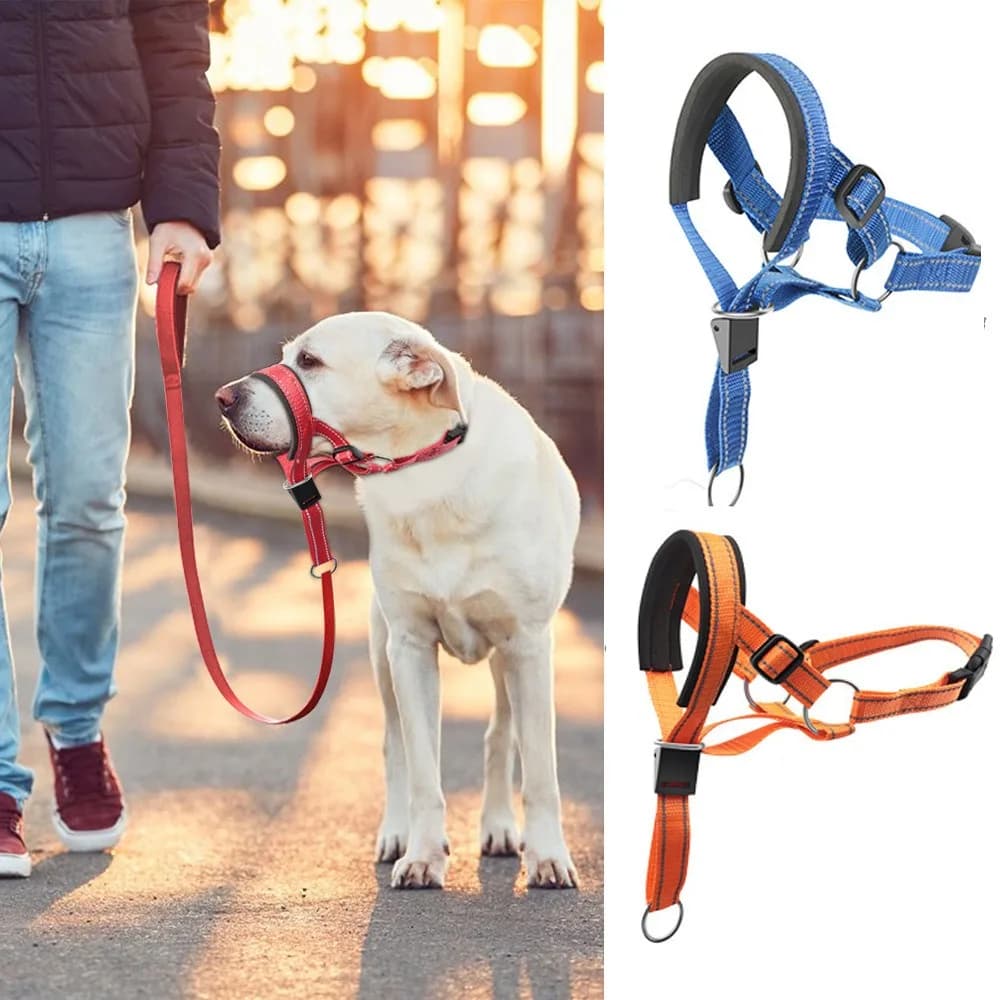 Nuova Cinghia Portatile in Nylon per Museruola per Cani 2026, Maschera Anti-Morso per Cani di Taglia Grande, Ingrosso Fabbrica Articoli per Animali Domestici