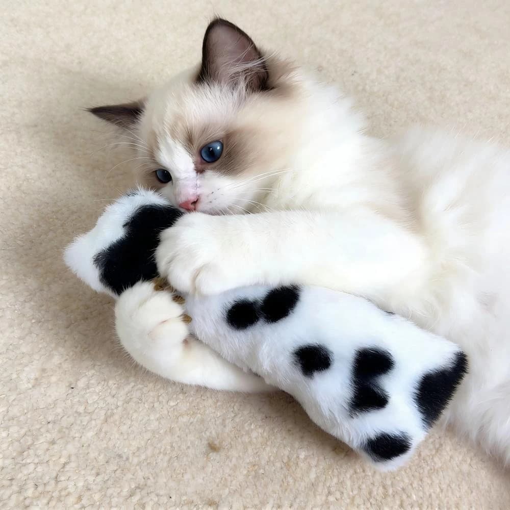 3 Pezzi Giocattoli per Gatti in Peluche con Erba Gatta, Morbidi e Resistenti, con Suono Frusciante, Interattivi per Gattini da Interno