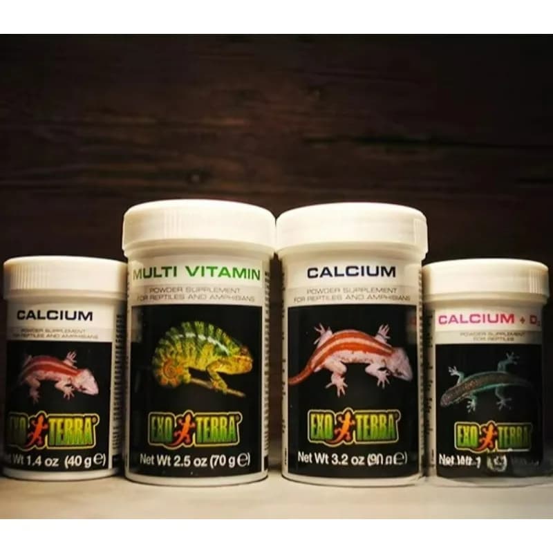 HAGEN Polvere di Calcio per Rettili con e senza Vitamina D3, Integratore per Tartarughe, Lucertole, Geco Leopardino, Drago Barbuto