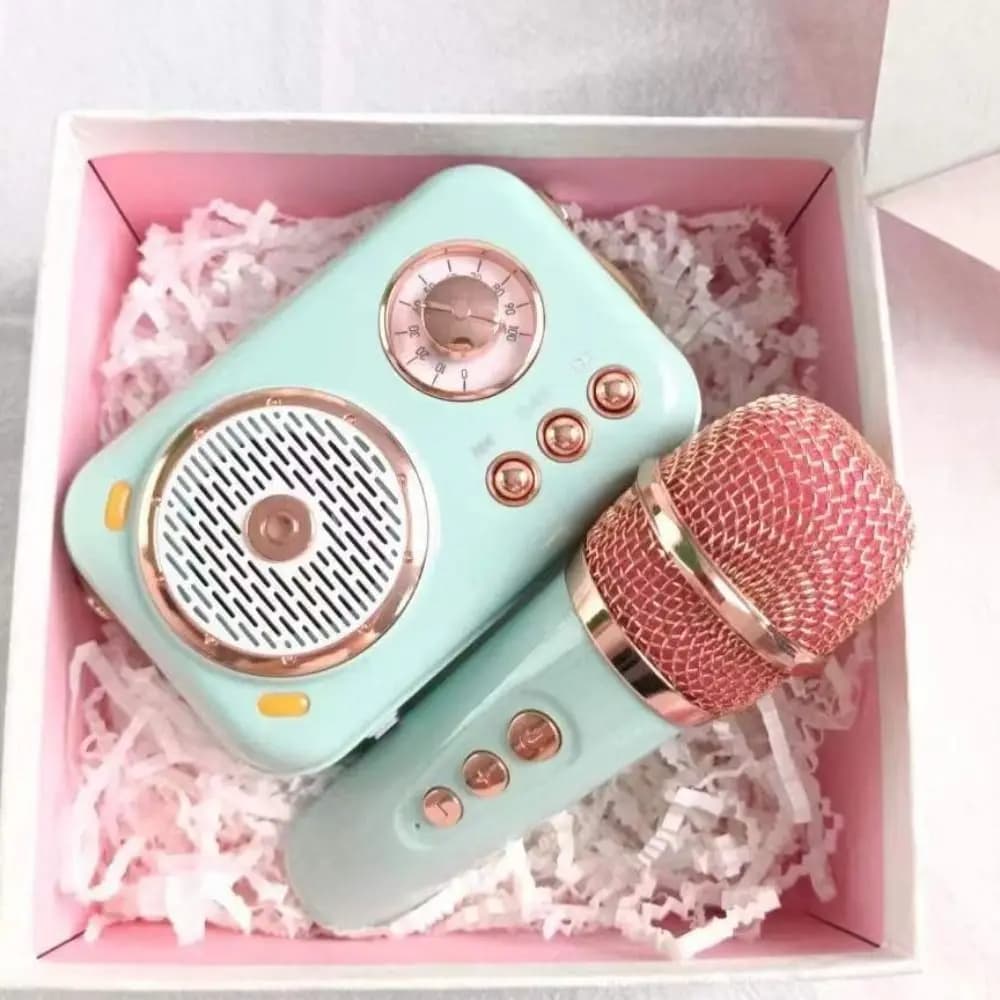 Mini Karaoke Bluetooth Speaker with 1 Wireless Microphone High Volume Bluetooth Speaker Card Subwoofer Karaoke Machine